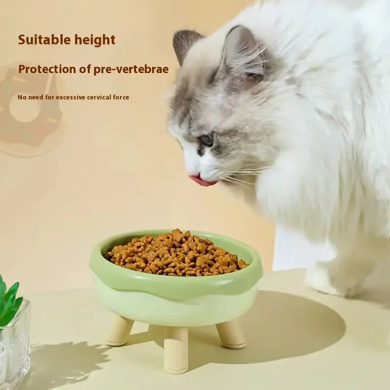 Colorful Tall Cat and Small Dog Feeding Bowl with Non-Slip Base