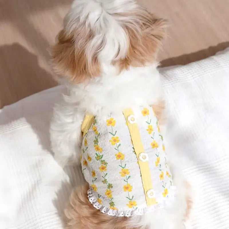 Mystery Paw Summer Cooling Vest for Dogs - Stylish Puppy Suspenders