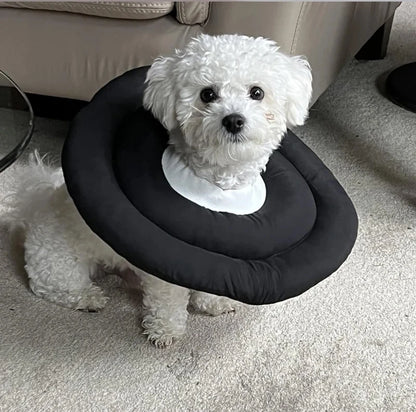 Mystery Paw Pet Healing Cone: Ultimate Protection for Your Furry Friends