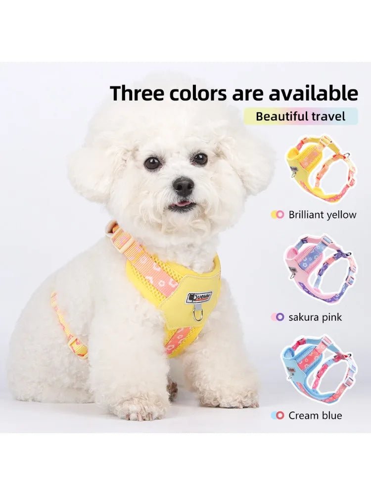 Mystery Paw Colorful Gradient Dog Harness - No Pull & Breathable