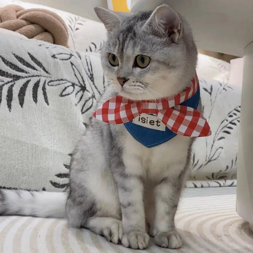 Retro Denim & Red Plaid Bow Tie for Stylish Pets