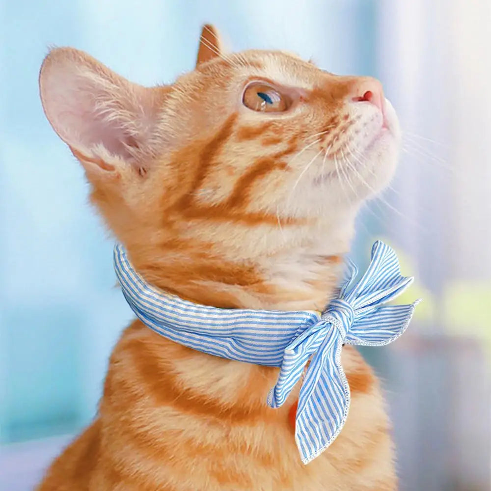 Mystery Paw Pet Cooling Ice Scarf