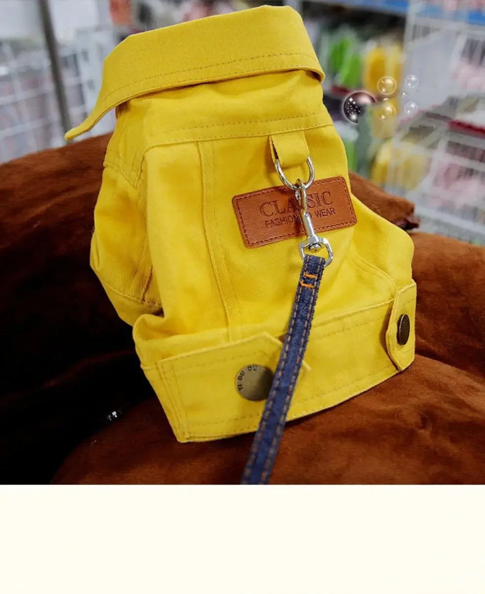 Mystery Paw Spring & Summer Dog Denim Vest with Leash Ring