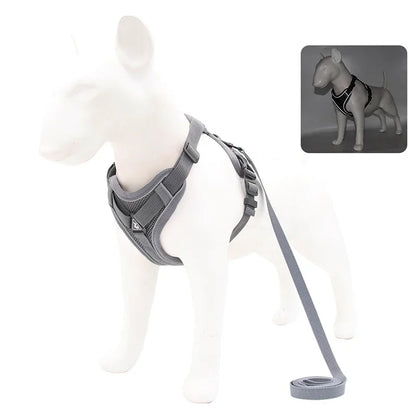 Reflective No Pull Harness & Leash Set for Dogs and Cats - Mystery Paw