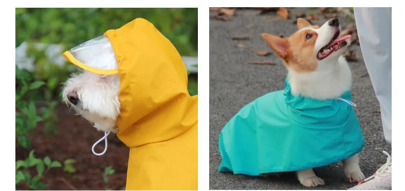 Mystery Paw Waterproof Dog Raincoat - Perfect for Any Adventure!