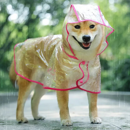 Mystery Paw Transparent Dog Raincoat - Stylish & Waterproof
