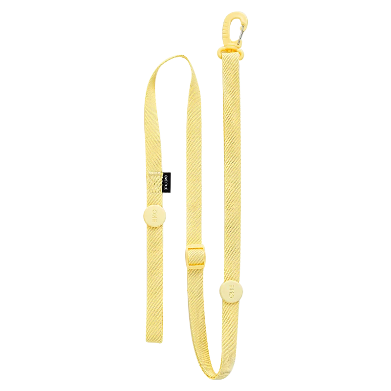 Mystery Paw Reflective H Shape Harness & Leash Set for Puppies & Cats