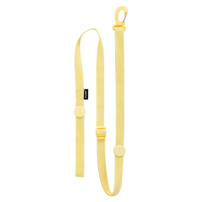 Mystery Paw Reflective H Shape Harness & Leash Set for Puppies & Cats