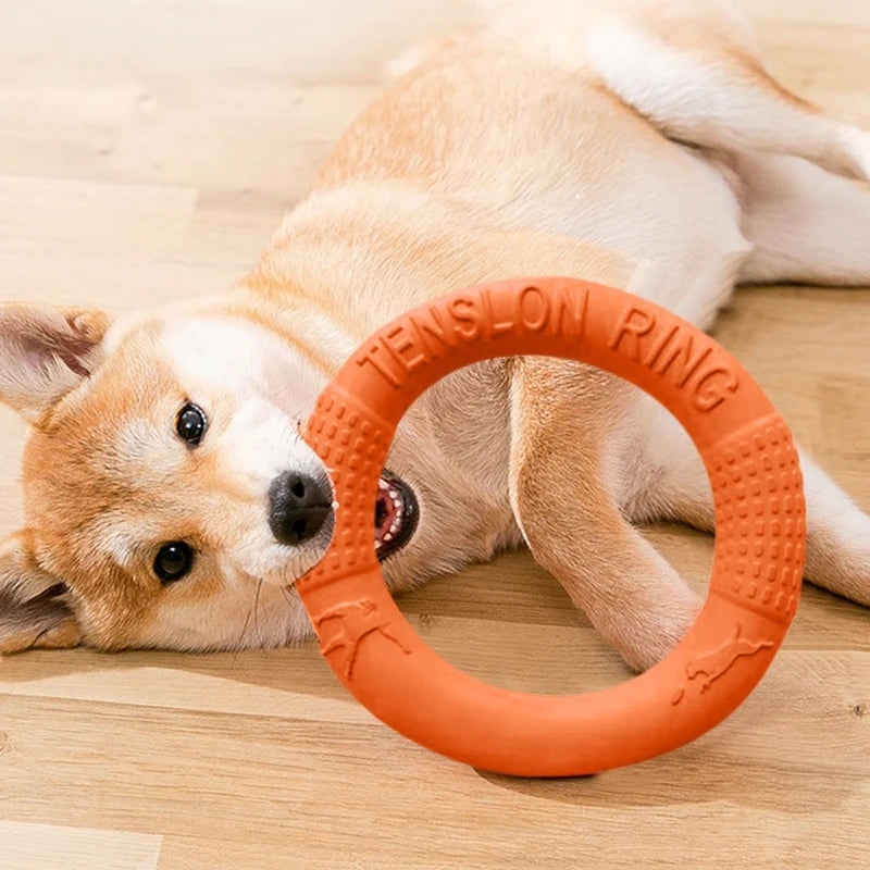 Mystery Paw Indestructible Dog Flying Disc - Ultimate Fetch Fun!