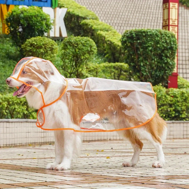 Angel Raincoat for Small Dogs - Waterproof & Stylish