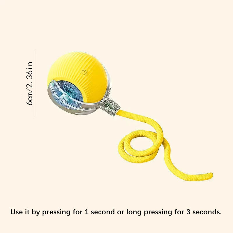 Mystery Paw Smart Interactive Jump Ball Toy