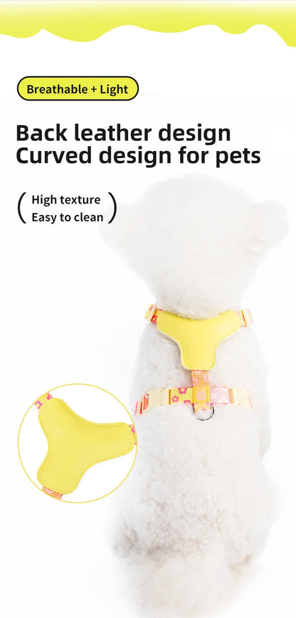 Mystery Paw Kawaii Summer Cooling Dog Harness & Leash Set