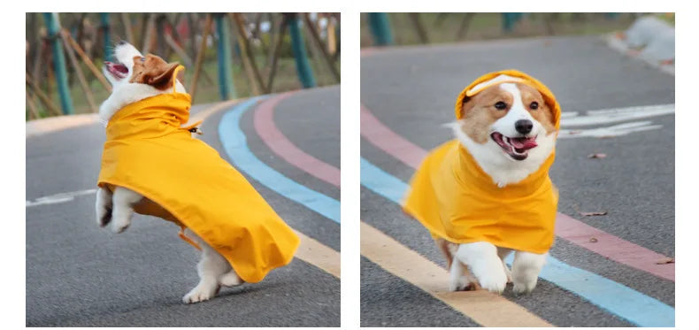 Mystery Paw Waterproof Dog Raincoat - Perfect for Any Adventure!