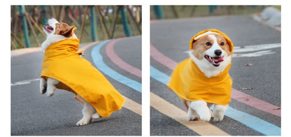 Mystery Paw Waterproof Dog Raincoat - Perfect for Any Adventure!