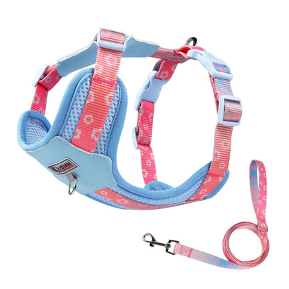 Mystery Paw Kawaii Summer Cooling Dog Harness & Leash Set