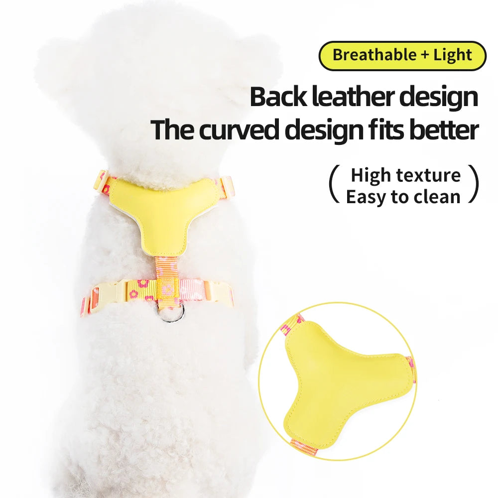 Mystery Paw Kawaii Summer Cooling Dog Harness & Leash Set