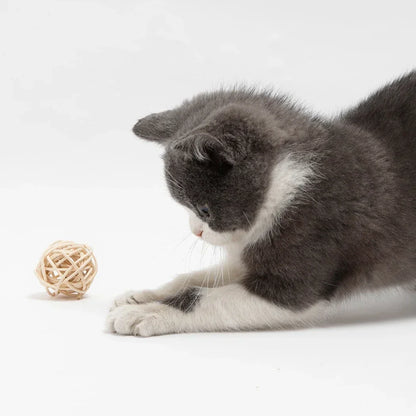 Funny Feather & Rattan Bell Balls - Interactive Cat Toys