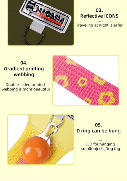 Mystery Paw Kawaii Summer Cooling Dog Harness & Leash Set