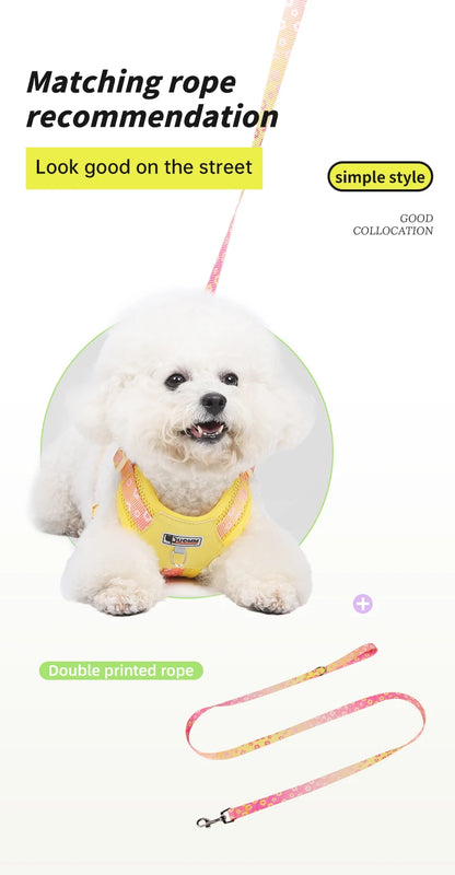 Mystery Paw Kawaii Summer Cooling Dog Harness & Leash Set
