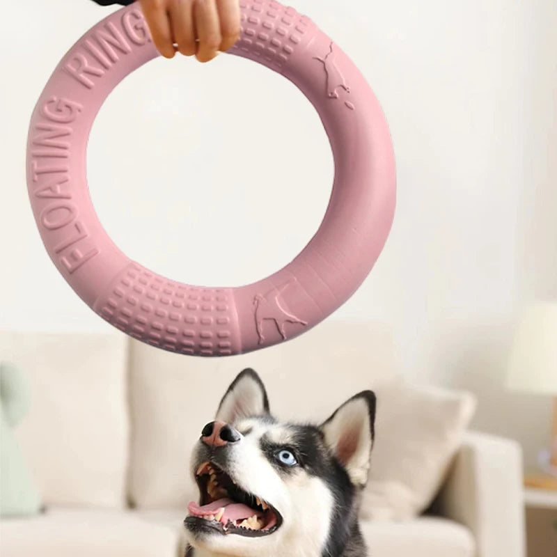 Mystery Paw Indestructible Dog Flying Disc - Ultimate Fetch Fun!