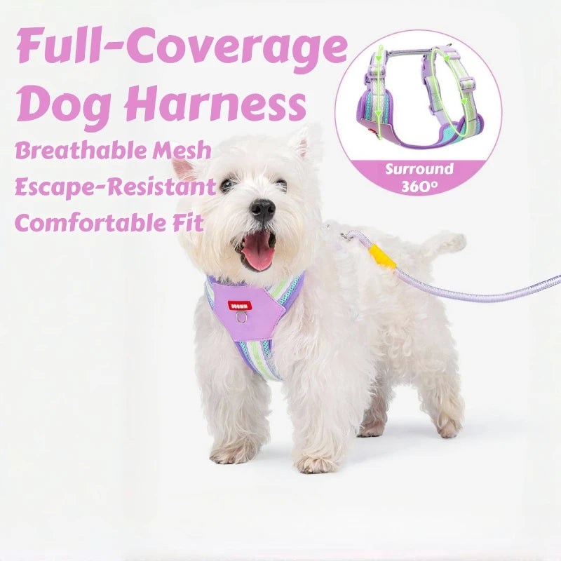 Mystery Paw No-Pull Adjustable Dog Harness - Reflective & Comfortable for All Breeds