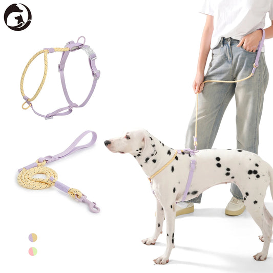 Kawaii Summer Cooling No-Pull Dog Harness & Leash Set - Stylish Comfort for Medium & Large Breeds