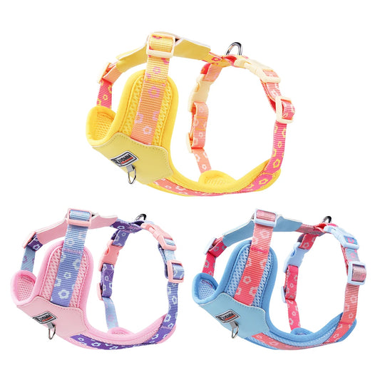 Mystery Paw Colorful Gradient Dog Harness - No Pull & Breathable
