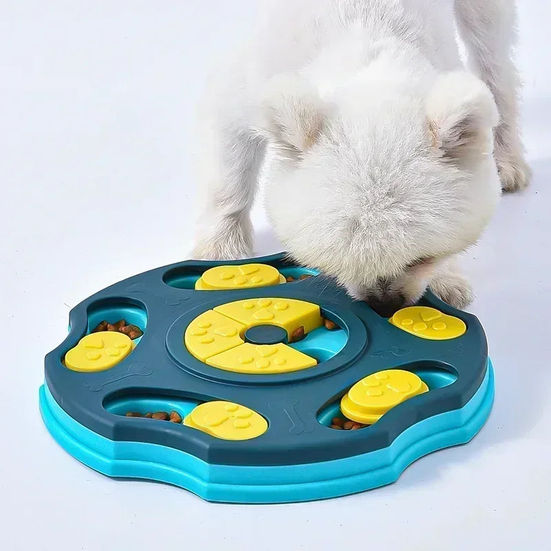 Small white dog using an interactive puzzle feeder to find treats