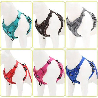 Reflective No Pull Harness & Leash Set for Dogs and Cats - Mystery Paw