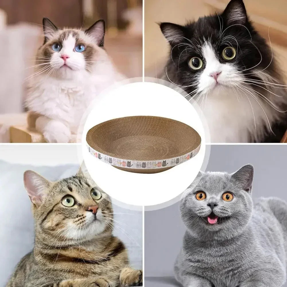 Mystery Paw Cat Scratching Board & Lounge