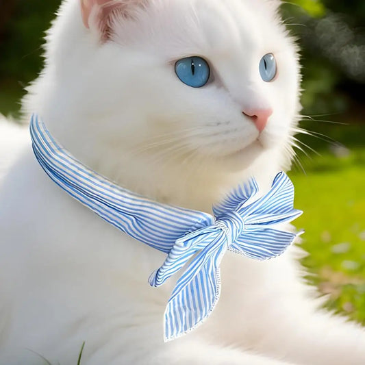 Mystery Paw Pet Cooling Ice Scarf