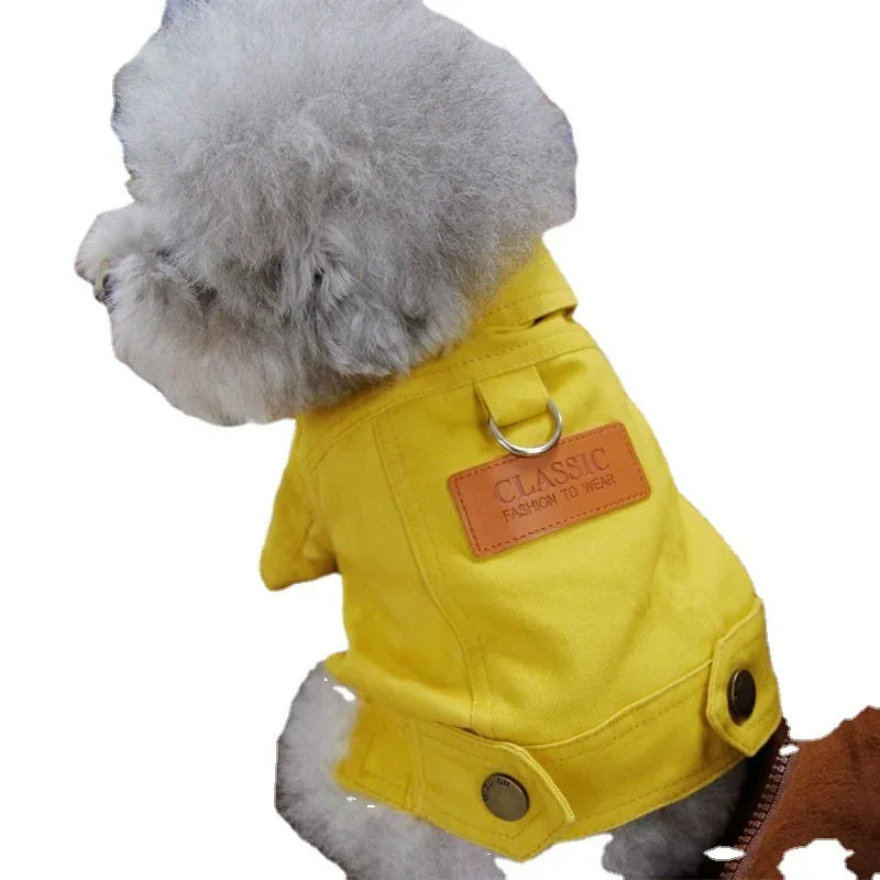 Mystery Paw Spring & Summer Dog Denim Vest with Leash Ring