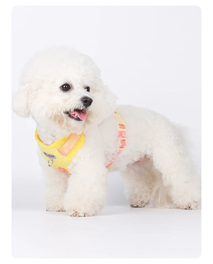 Mystery Paw Kawaii Summer Cooling Dog Harness & Leash Set
