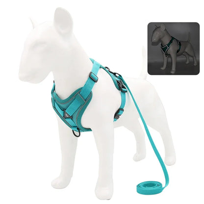 Reflective No Pull Harness & Leash Set for Dogs and Cats - Mystery Paw