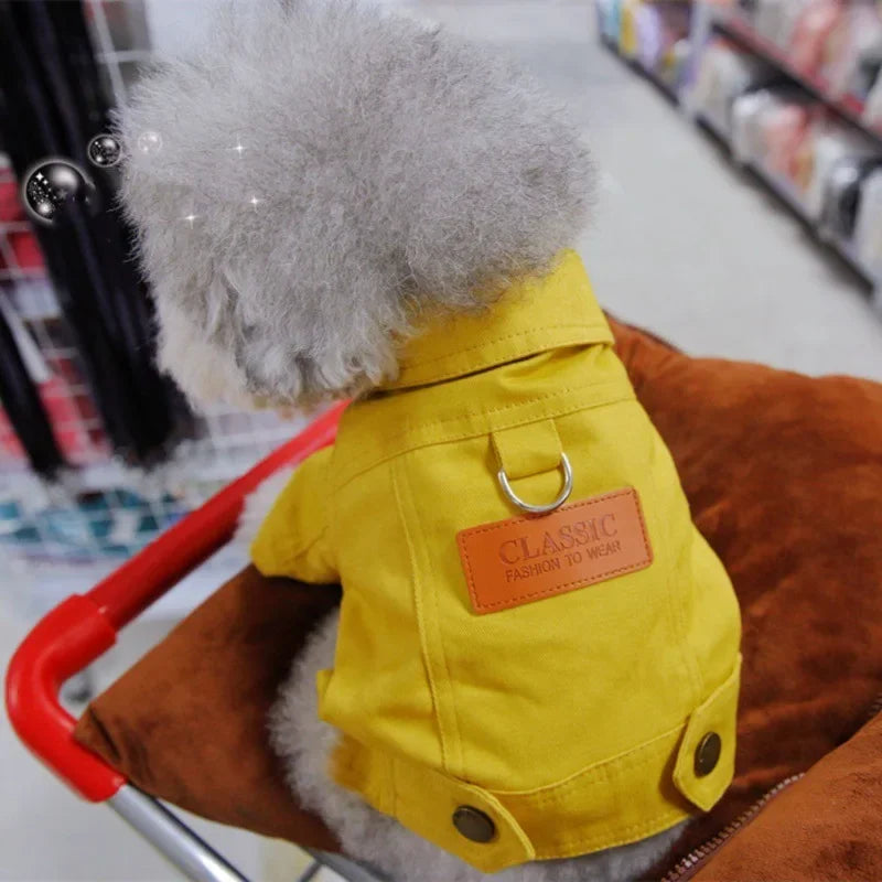 Mystery Paw Spring & Summer Dog Denim Vest with Leash Ring