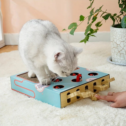 Interactive Cat Toy & Scratching Board for Curious Kittens