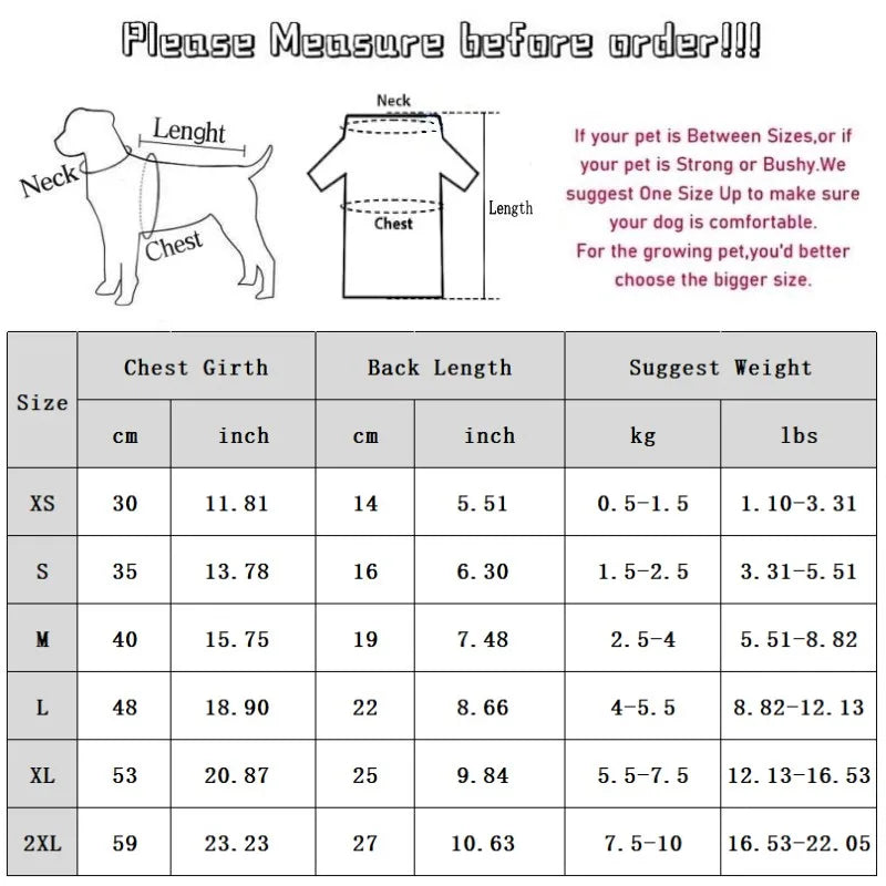 Mystery Paw Summer Dog Vest and Hat Set