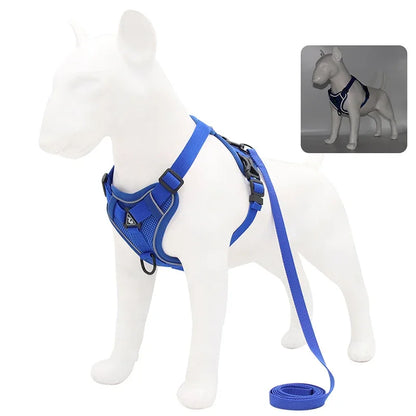 Reflective No Pull Harness & Leash Set for Dogs and Cats - Mystery Paw