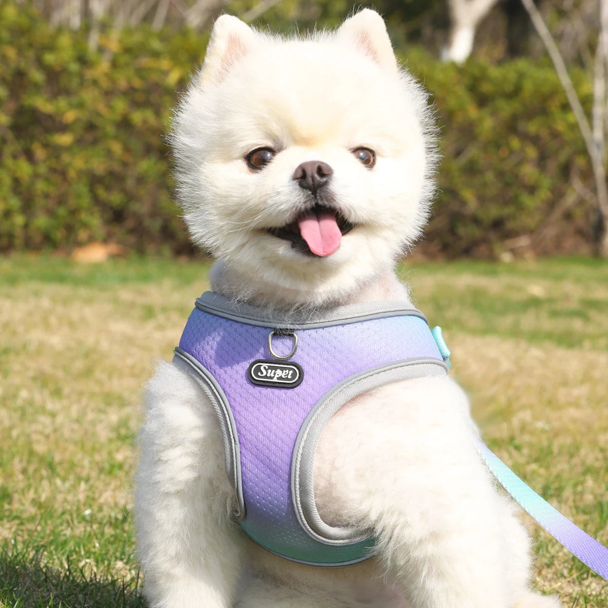 Reflective Adjustable Step-In Harness for Small Dogs & Cats - Supet