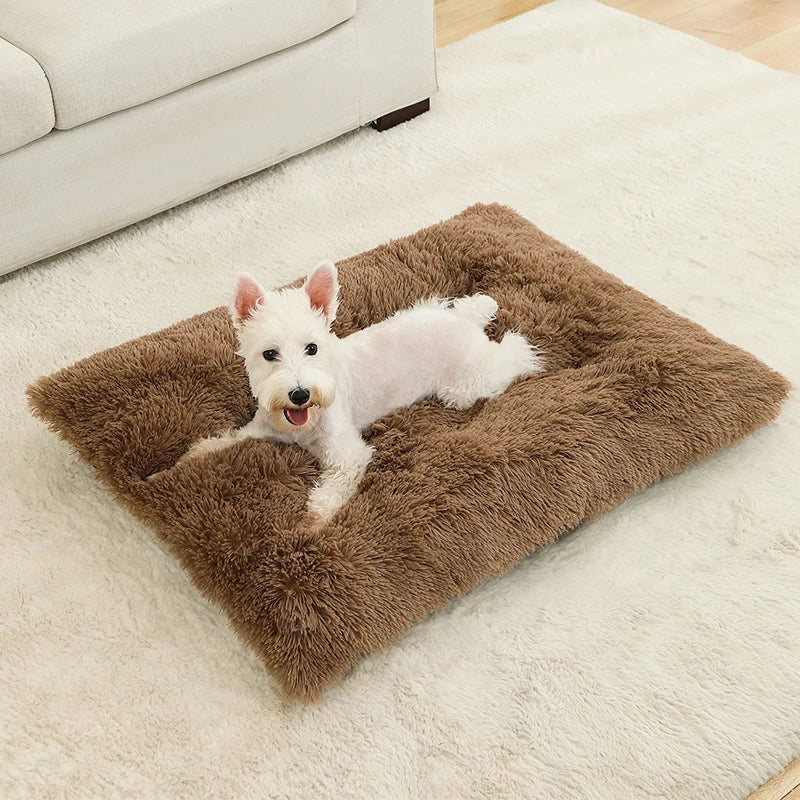 Long Plush Calming Bed - Cozy Retreat for Anxious Pets