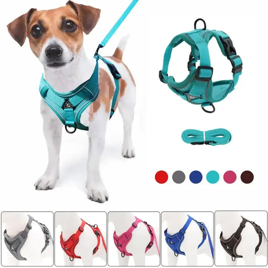 Reflective No Pull Harness & Leash Set for Dogs and Cats - Mystery Paw