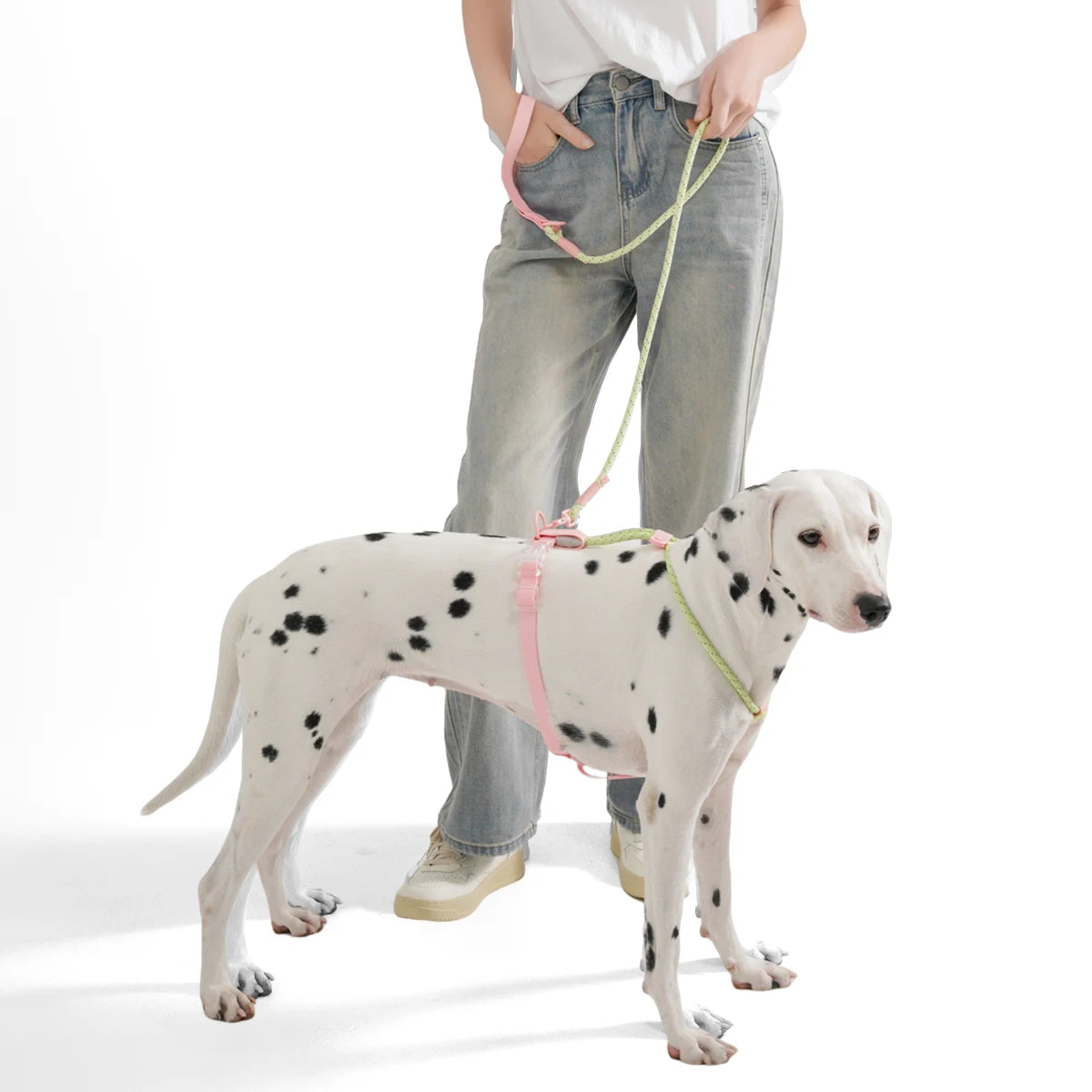 Kawaii Summer Cooling No-Pull Dog Harness & Leash Set - Stylish Comfort for Medium & Large Breeds