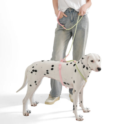 Kawaii Summer Cooling No-Pull Dog Harness & Leash Set - Stylish Comfort for Medium & Large Breeds