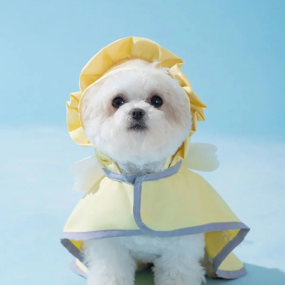Angel Raincoat for Small Dogs - Waterproof & Stylish