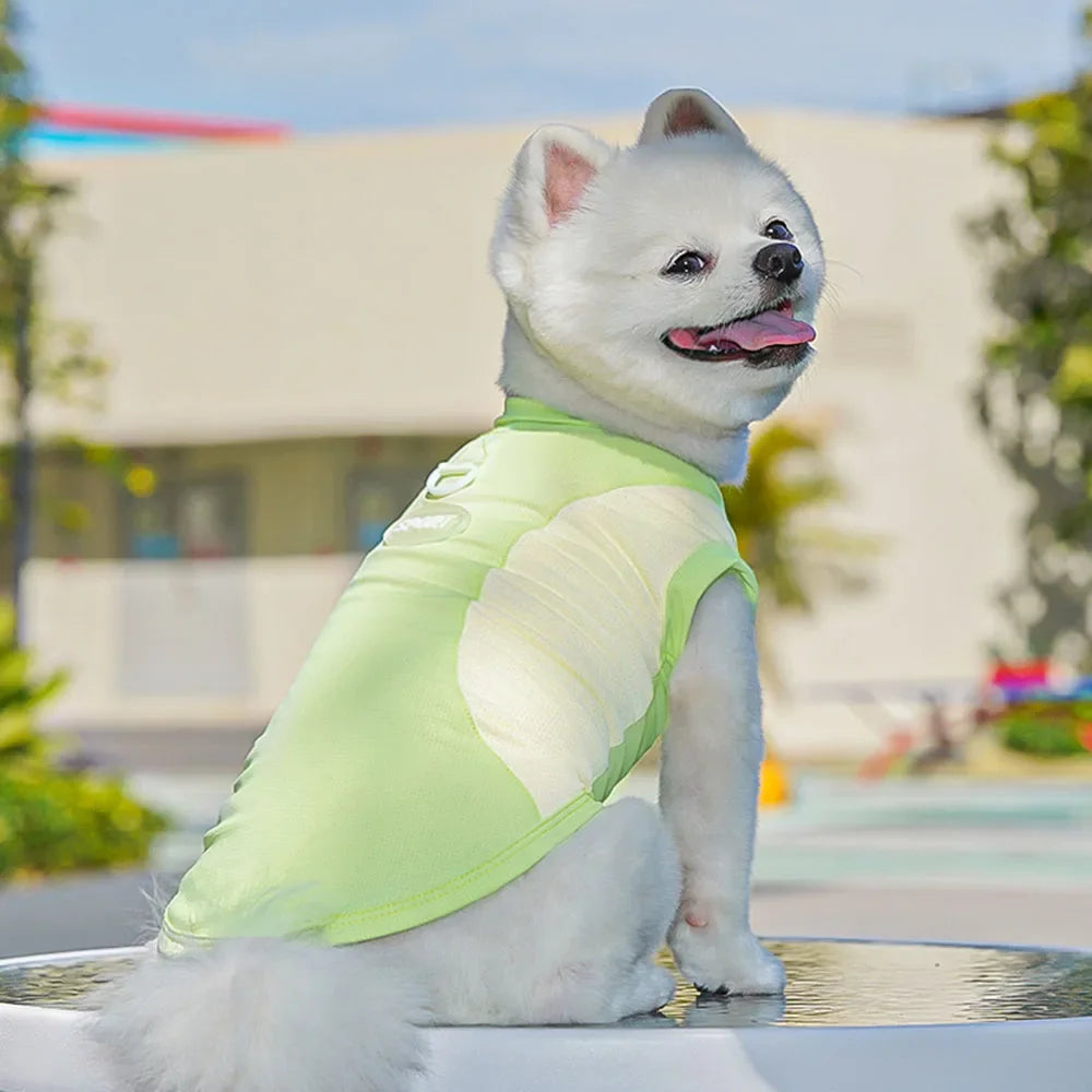 Kawaii Summer Cool Dog Vest - Breathable & Stylish Sun Protection