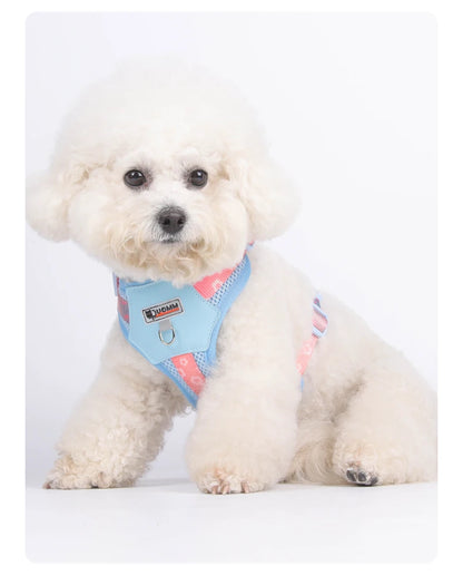 Mystery Paw Kawaii Summer Cooling Dog Harness & Leash Set