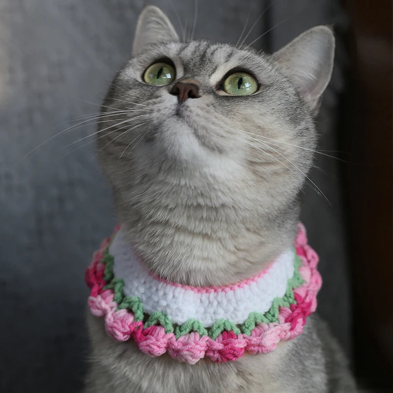 Cozy Wool Pet Necklaces & Collars for Cats and Small Dogs