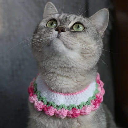 Cozy Wool Pet Necklaces & Collars for Cats and Small Dogs