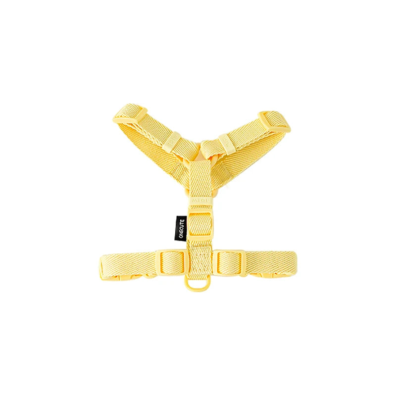 Mystery Paw Reflective H Shape Harness & Leash Set for Puppies & Cats