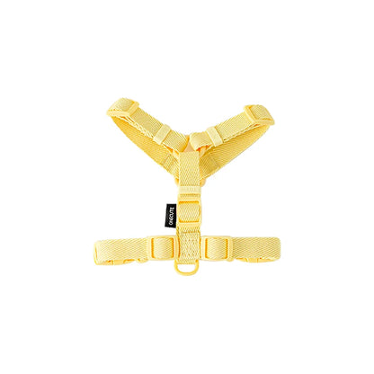 Mystery Paw Reflective H Shape Harness & Leash Set for Puppies & Cats